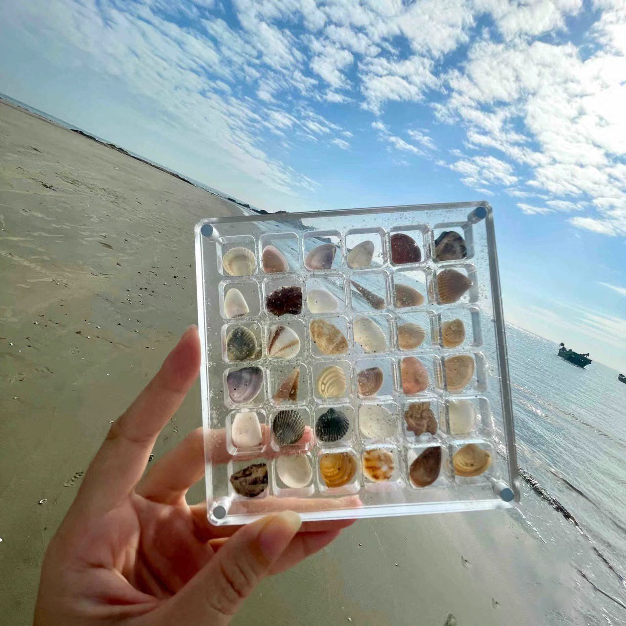 ❤️LAST DAY 49% OFF - Acrylic Magnetic Seashell Display Box