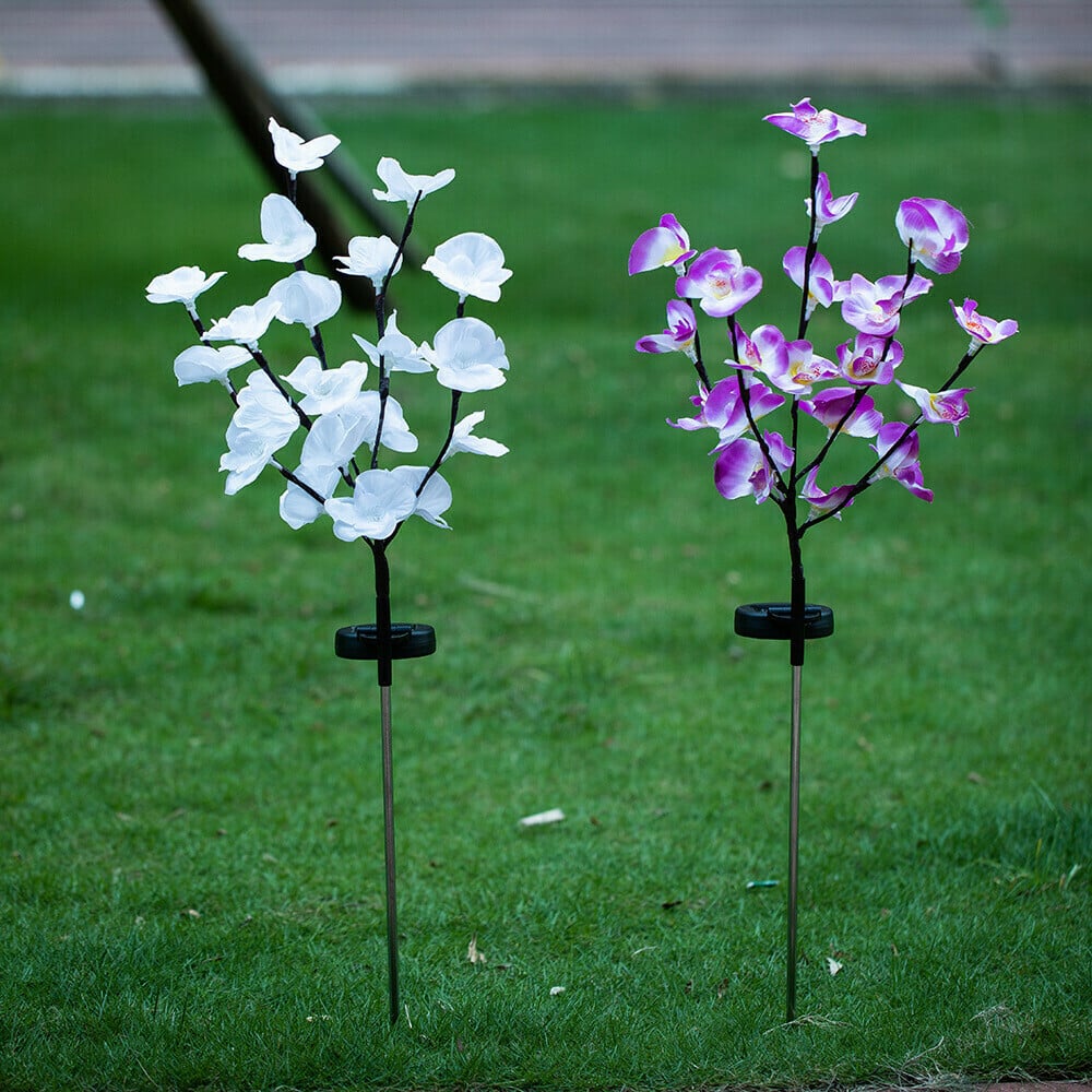 Solar Garden Lights Outdoor