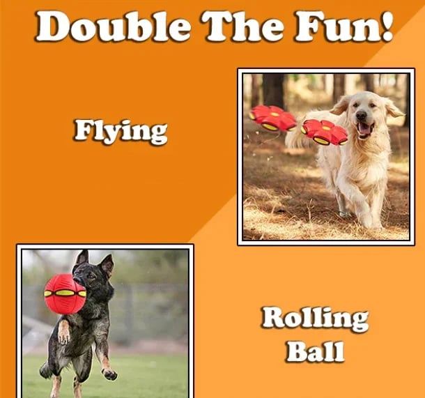 🔥Last Day 49% OFF💥The Doggy Disc Ball💞