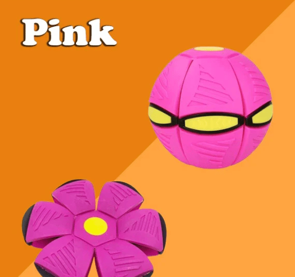 🔥Last Day 49% OFF💥The Doggy Disc Ball💞