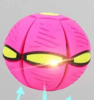 🔥Last Day 49% OFF💥The Doggy Disc Ball💞