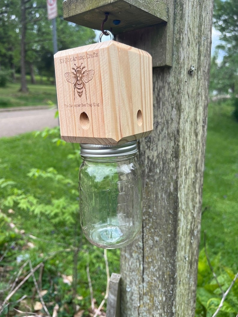 🔥Hot Sale 49% OFF-Best Carpenter Bee Trap