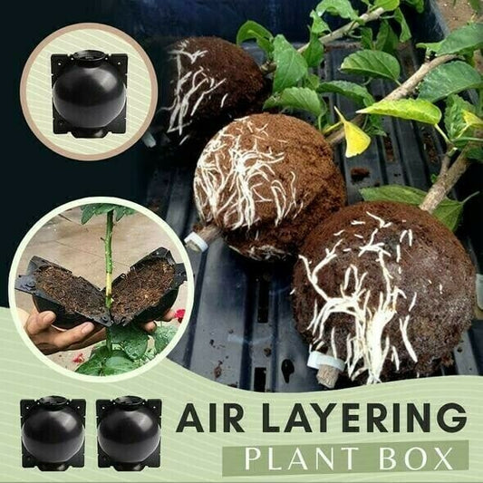 Air Layering Plant Boxes(5PCS)