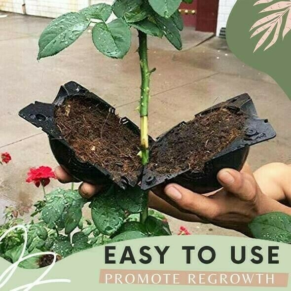 Air Layering Plant Boxes(5PCS)