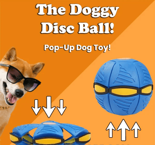 🔥Last Day 49% OFF💥The Doggy Disc Ball💞