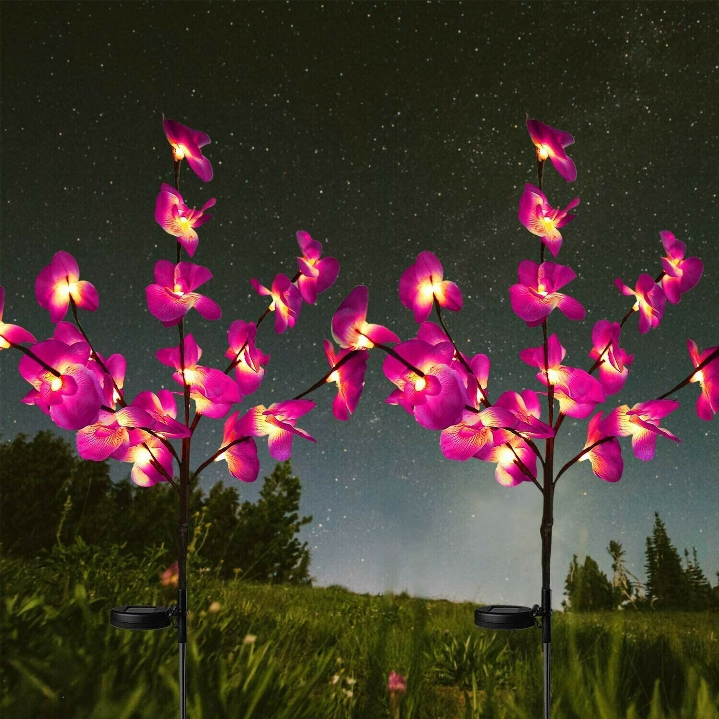 Solar Garden Lights Outdoor