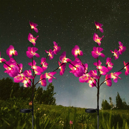 Solar Garden Lights Outdoor