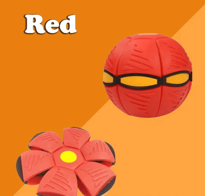 🔥Last Day 49% OFF💥The Doggy Disc Ball💞