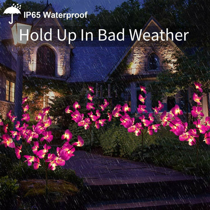 Solar Garden Lights Outdoor
