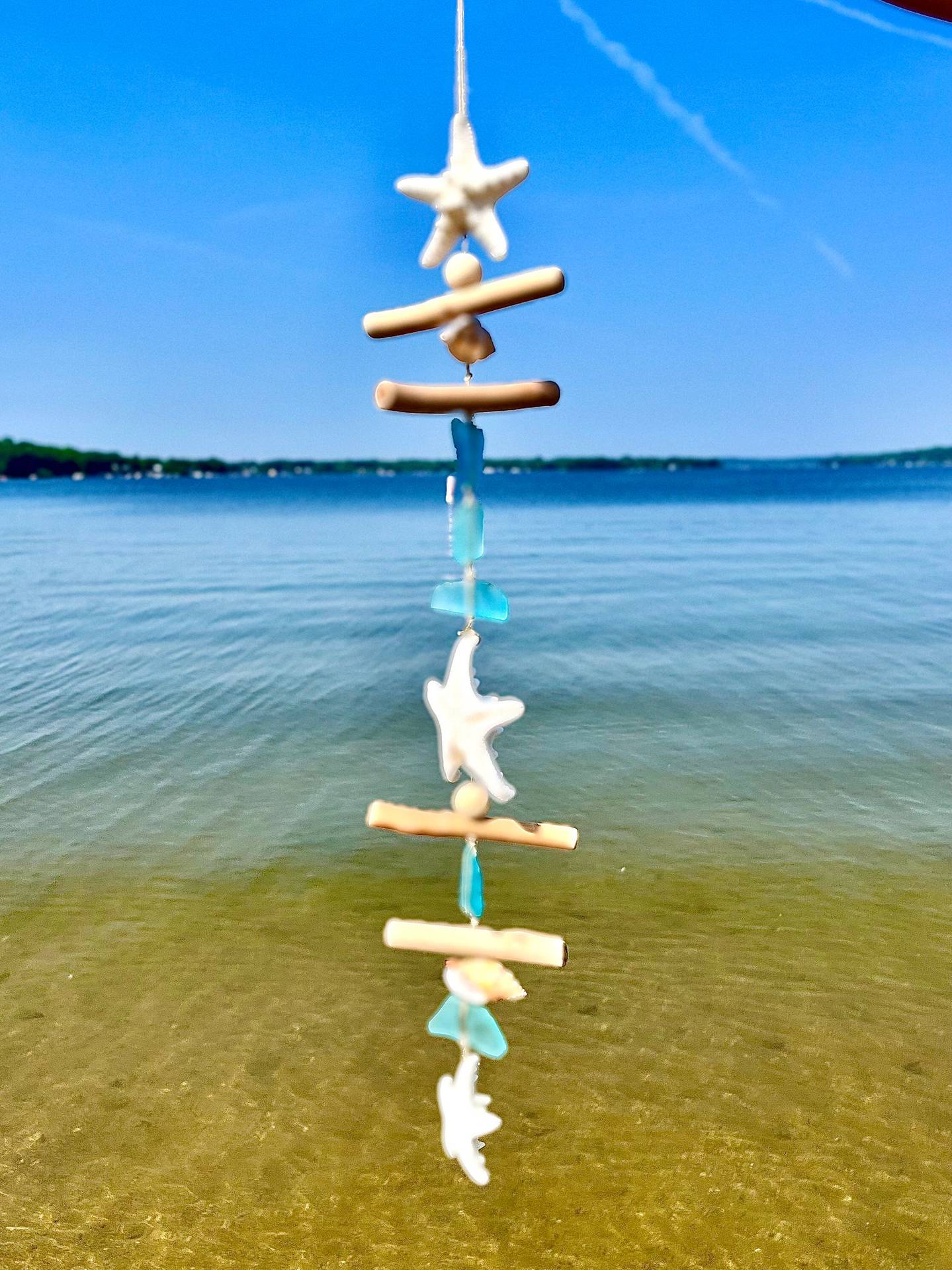 🔥LAST DAY 49% OFF - Starfish SeaGlass Beach Decor