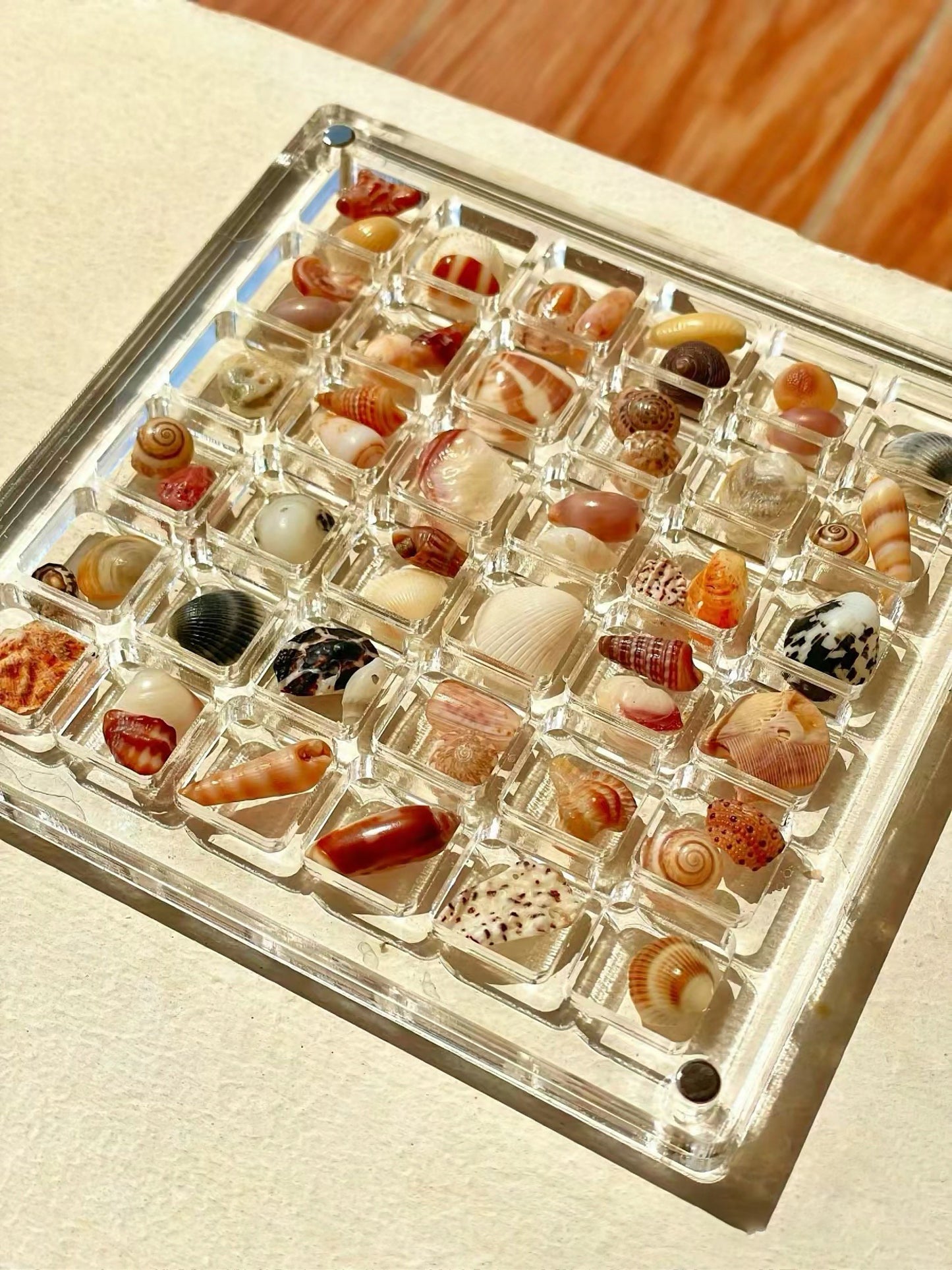 ❤️LAST DAY 49% OFF - Acrylic Magnetic Seashell Display Box
