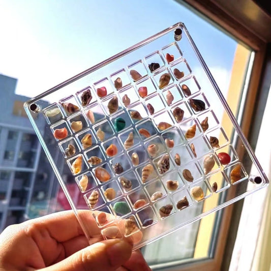 ❤️LAST DAY 49% OFF - Acrylic Magnetic Seashell Display Box