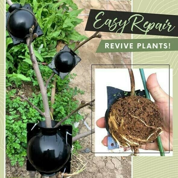 Air Layering Plant Boxes(5PCS)