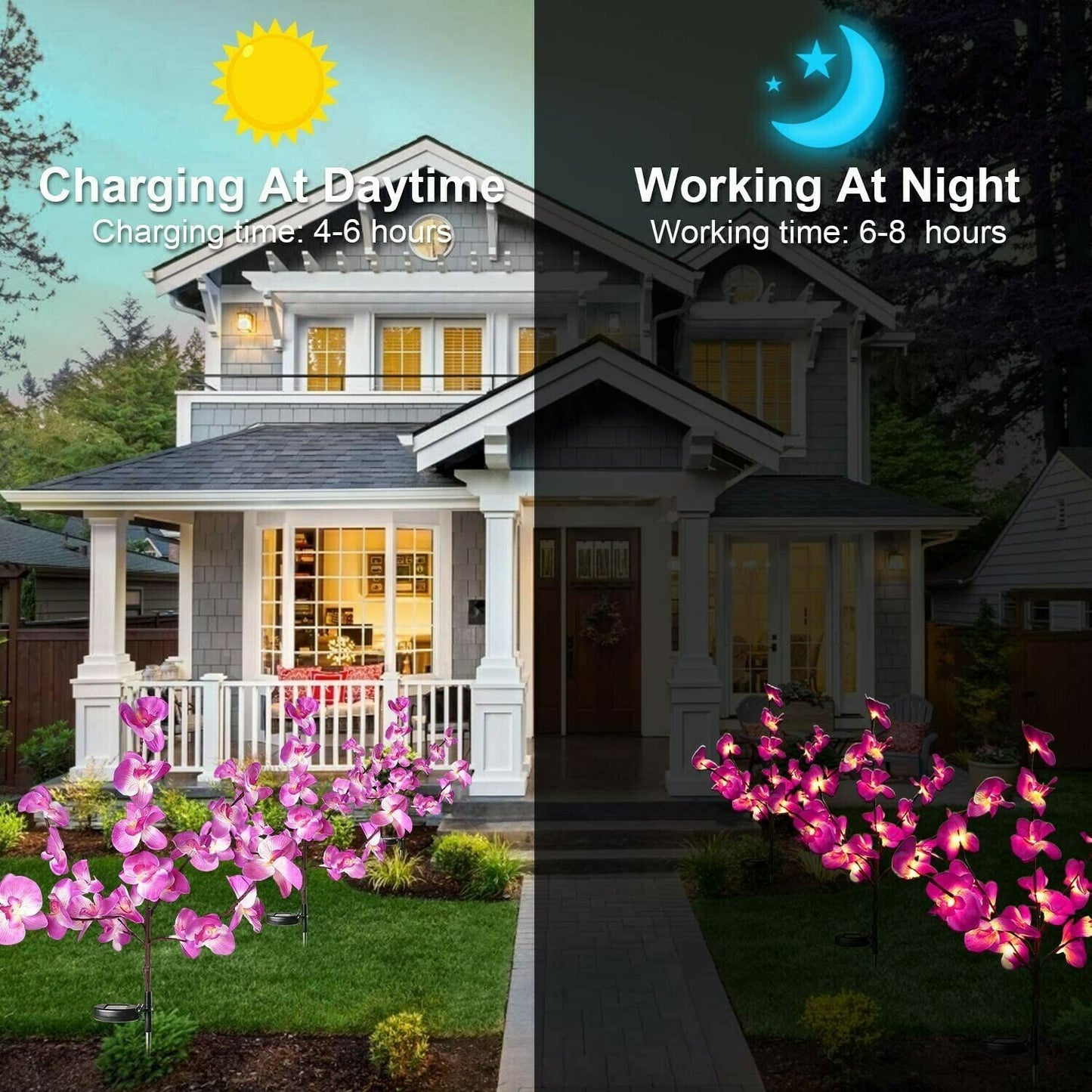 Solar Garden Lights Outdoor