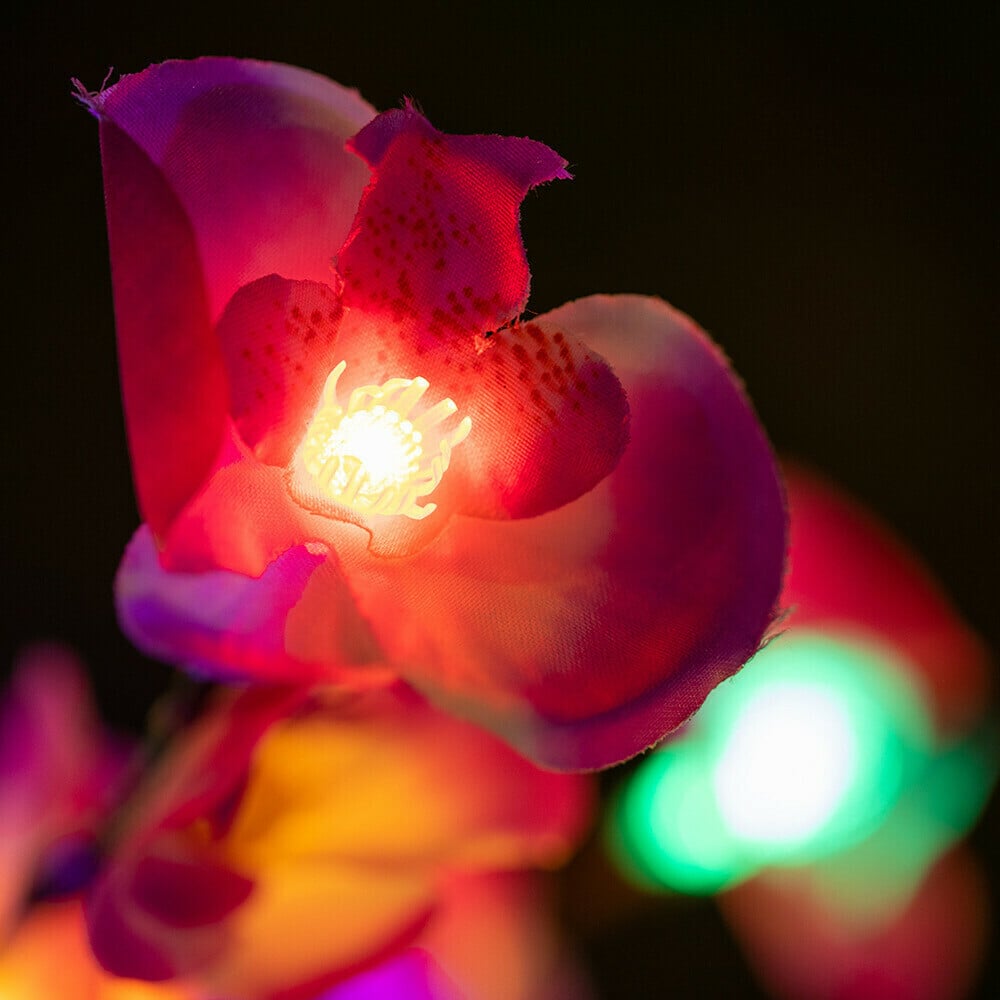 Solar Garden Lights Outdoor