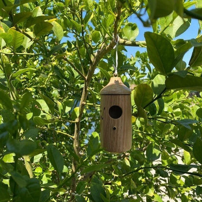 🐦2024 Newest Sale 49% OFF - Wooden Hummingbird House-Gift for Nature Lovers🐣