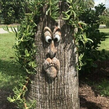 Willy the rude Tree Face - outdoor garden statues