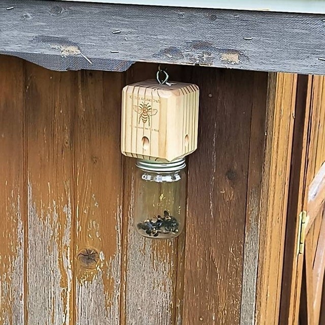 🔥Hot Sale 49% OFF-Best Carpenter Bee Trap