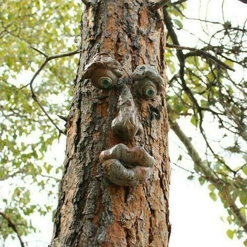 Willy the rude Tree Face - outdoor garden statues
