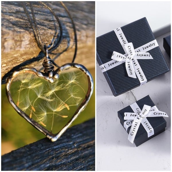 🎁2024 New Year Hot Sale 49% OFF🌈Dandelion Wish necklace