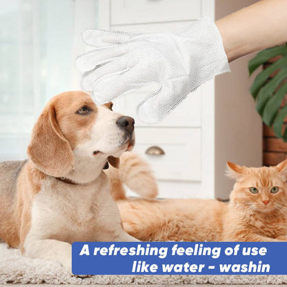 🔥Last Day 49% OFF - 🐶🐱 Pet Glove Wipes for Dogs & Cats
