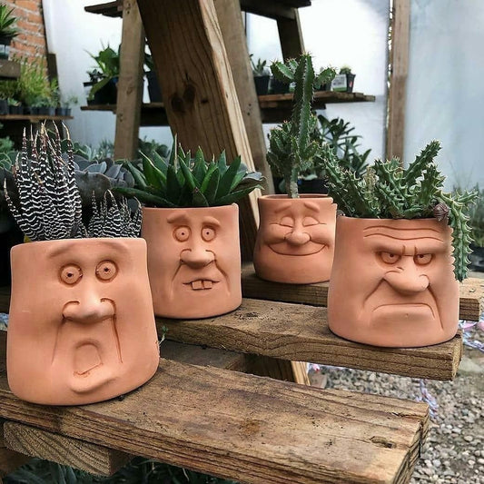 🔥Last Day 49% OFF - 🤣Funny Cartoon Face Flower Pot
