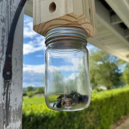 🔥Hot Sale 49% OFF-Best Carpenter Bee Trap