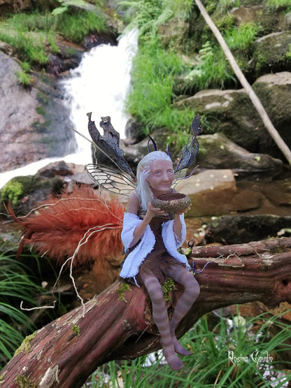 🍀Lorelai fairy