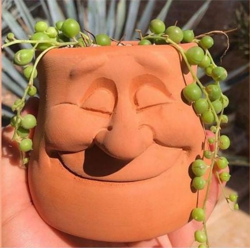 🔥Last Day 49% OFF - 🤣Funny Cartoon Face Flower Pot