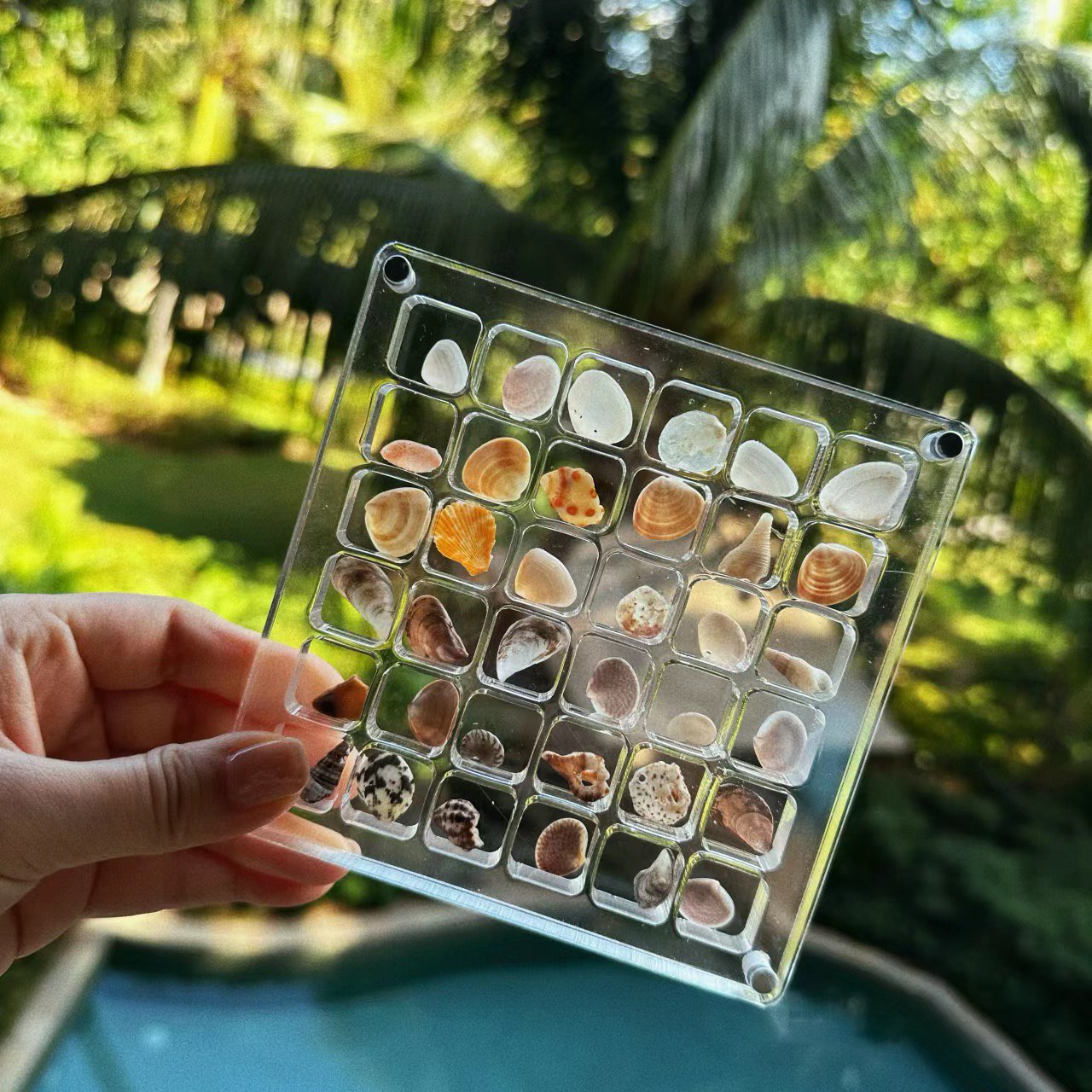 ❤️LAST DAY 49% OFF - Acrylic Magnetic Seashell Display Box