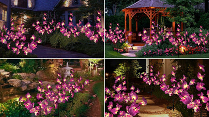 Solar Garden Lights Outdoor
