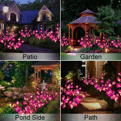 Solar Garden Lights Outdoor
