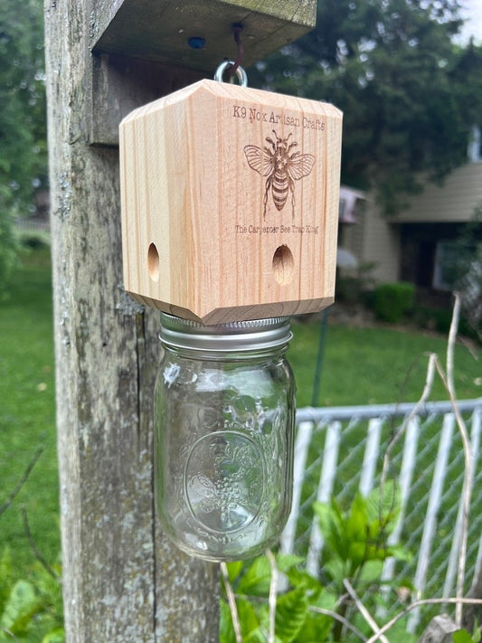 🔥Hot Sale 49% OFF-Best Carpenter Bee Trap