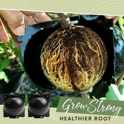 Air Layering Plant Boxes(5PCS)
