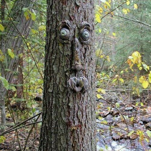 Willy the rude Tree Face - outdoor garden statues