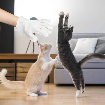 🔥Last Day 49% OFF - 🐶🐱 Pet Glove Wipes for Dogs & Cats