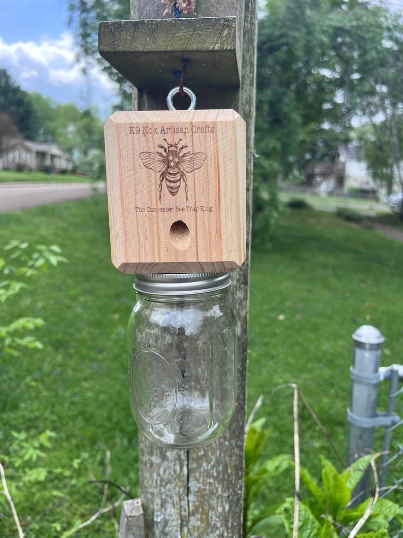 🔥Hot Sale 49% OFF-Best Carpenter Bee Trap