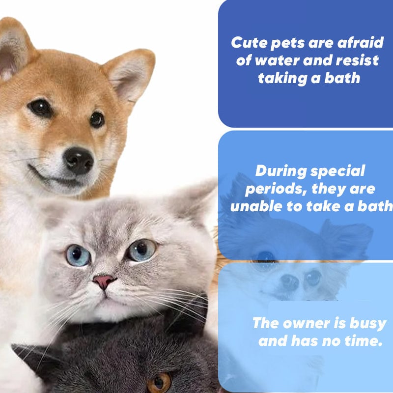 🔥Last Day 49% OFF - 🐶🐱 Pet Glove Wipes for Dogs & Cats