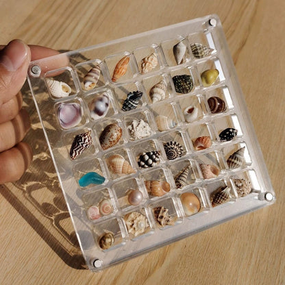 ❤️LAST DAY 49% OFF - Acrylic Magnetic Seashell Display Box