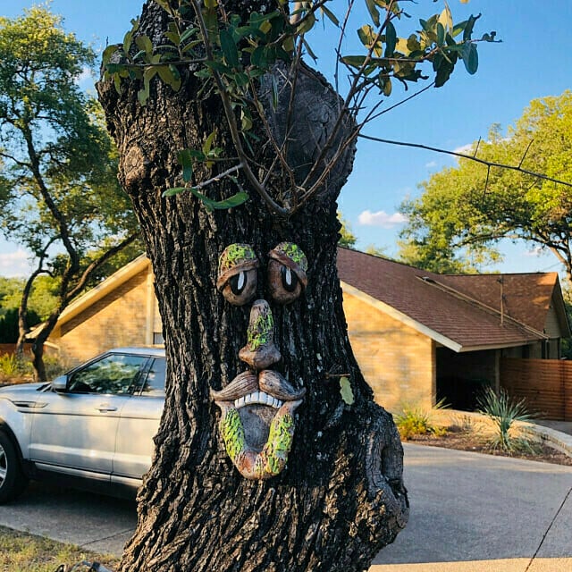 Tree Face Decor Outdoor