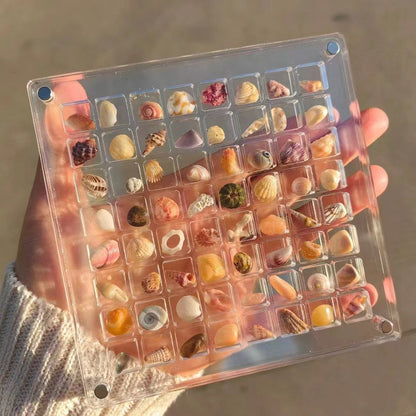 ❤️LAST DAY 49% OFF - Acrylic Magnetic Seashell Display Box