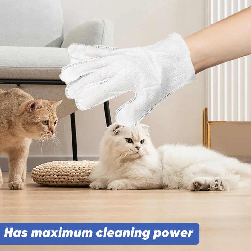🔥Last Day 49% OFF - 🐶🐱 Pet Glove Wipes for Dogs & Cats